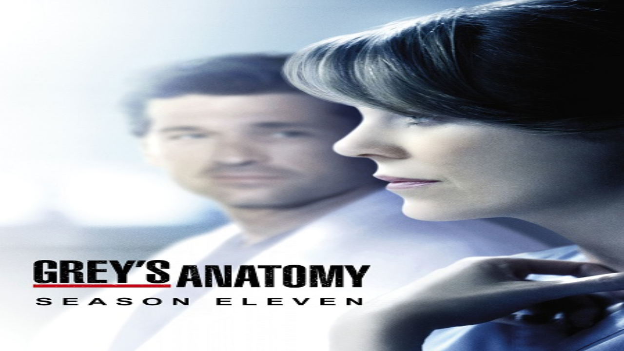 مسلسل Grey’s Anatomy الموسم 11 مترجم